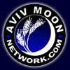 Aviv Moon Networking